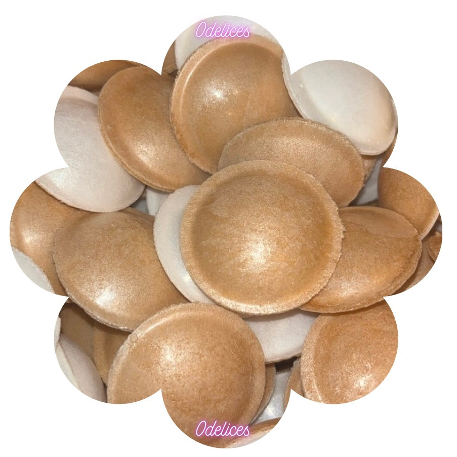 🌱 Soucoupes cola (lot de 10)