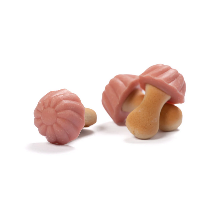 Champignons fraise (100g)