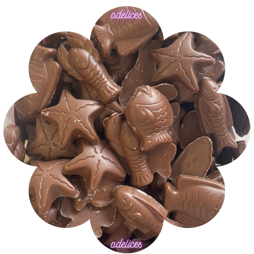 Friture chocolat au lait de Pâques (100g)