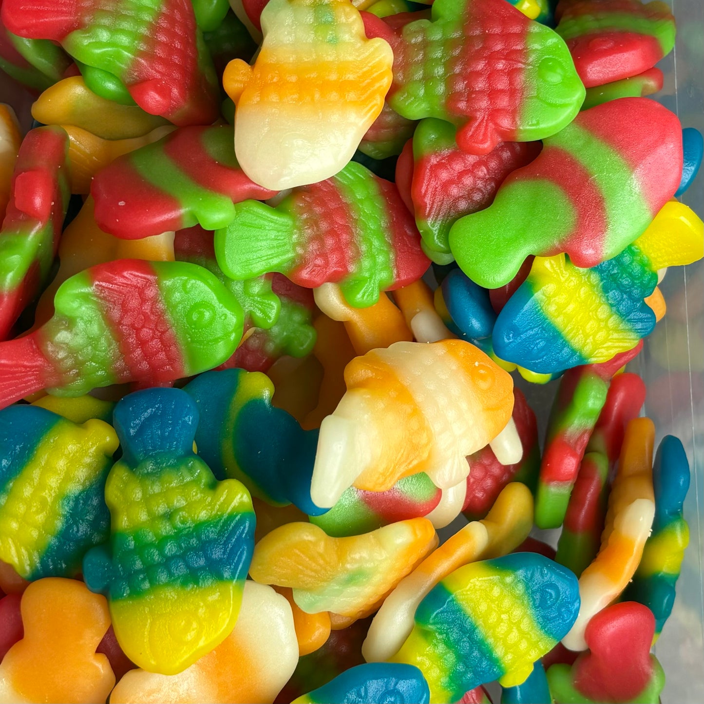 Poisson Haribo (100g)