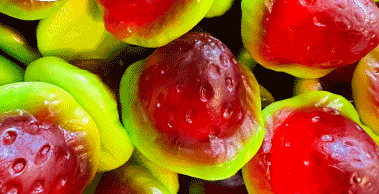 FRAISE FOURREE 100gr