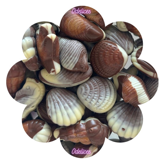 Coquillage praliné (x8)