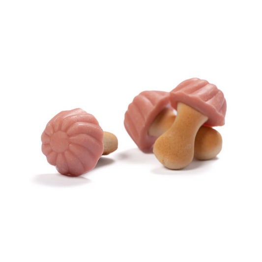 Champignons fraise (100g)