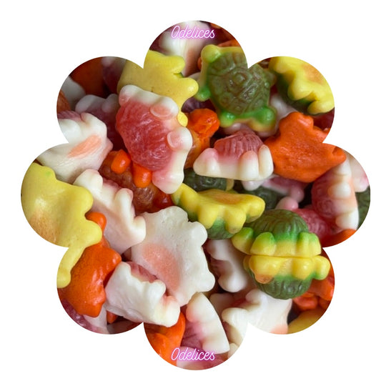 Tortue Fourrée (100g)