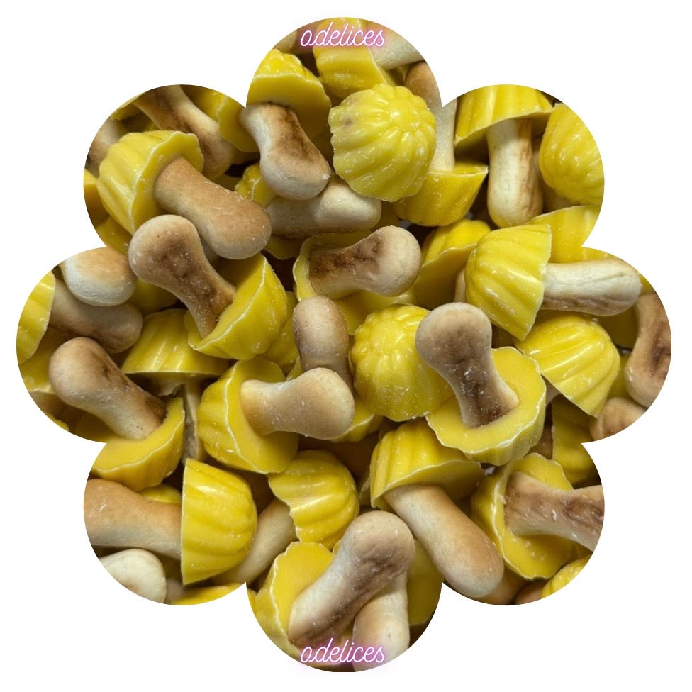 Champion chocolat banane (100g)