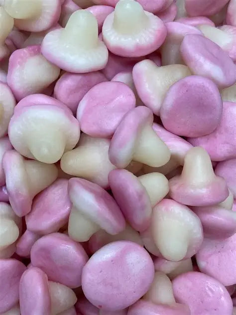 champignon lisse (100g)